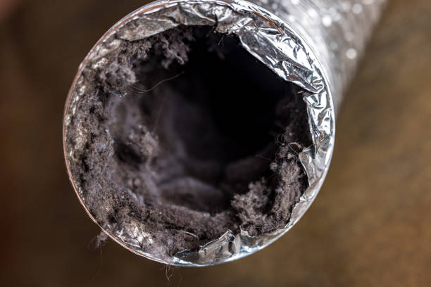 Trusted Fox Lake, IL Airduct Cleaning Experts