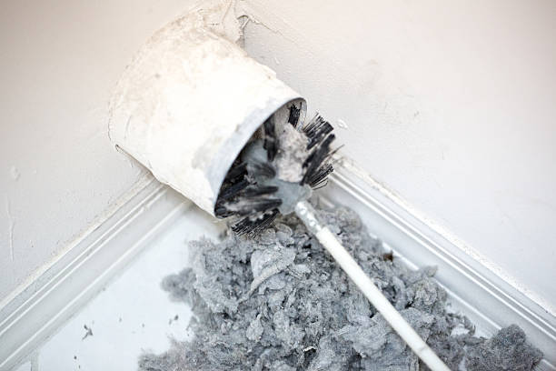 Best Air Duct Mold Removal  in Fox Lake, IL